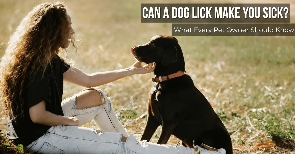 A dog licking a woman’s hand outdoors. Image used to explain the sepsis dog lick infection risk.