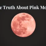 Full moon image with pink color used to explain the meaning of the name Pink Moon in April